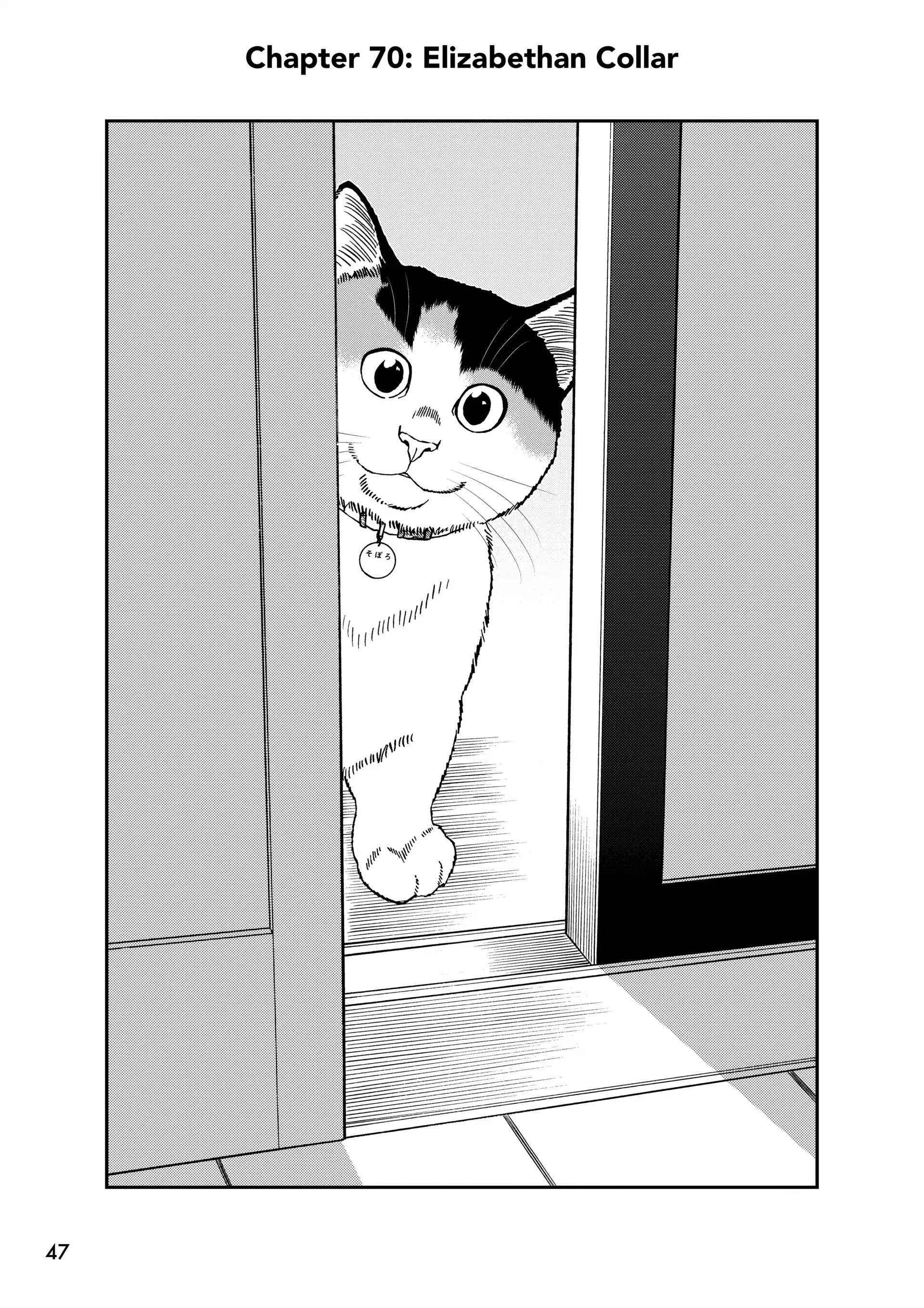 Read Cat + Gamer EN Manga Online