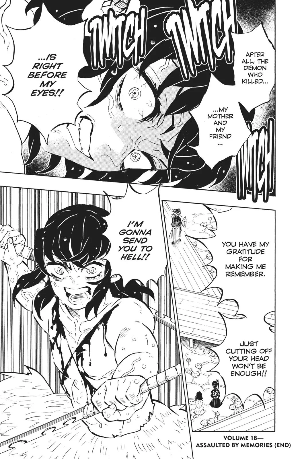 Read Demon Slayer EN Manga Online
