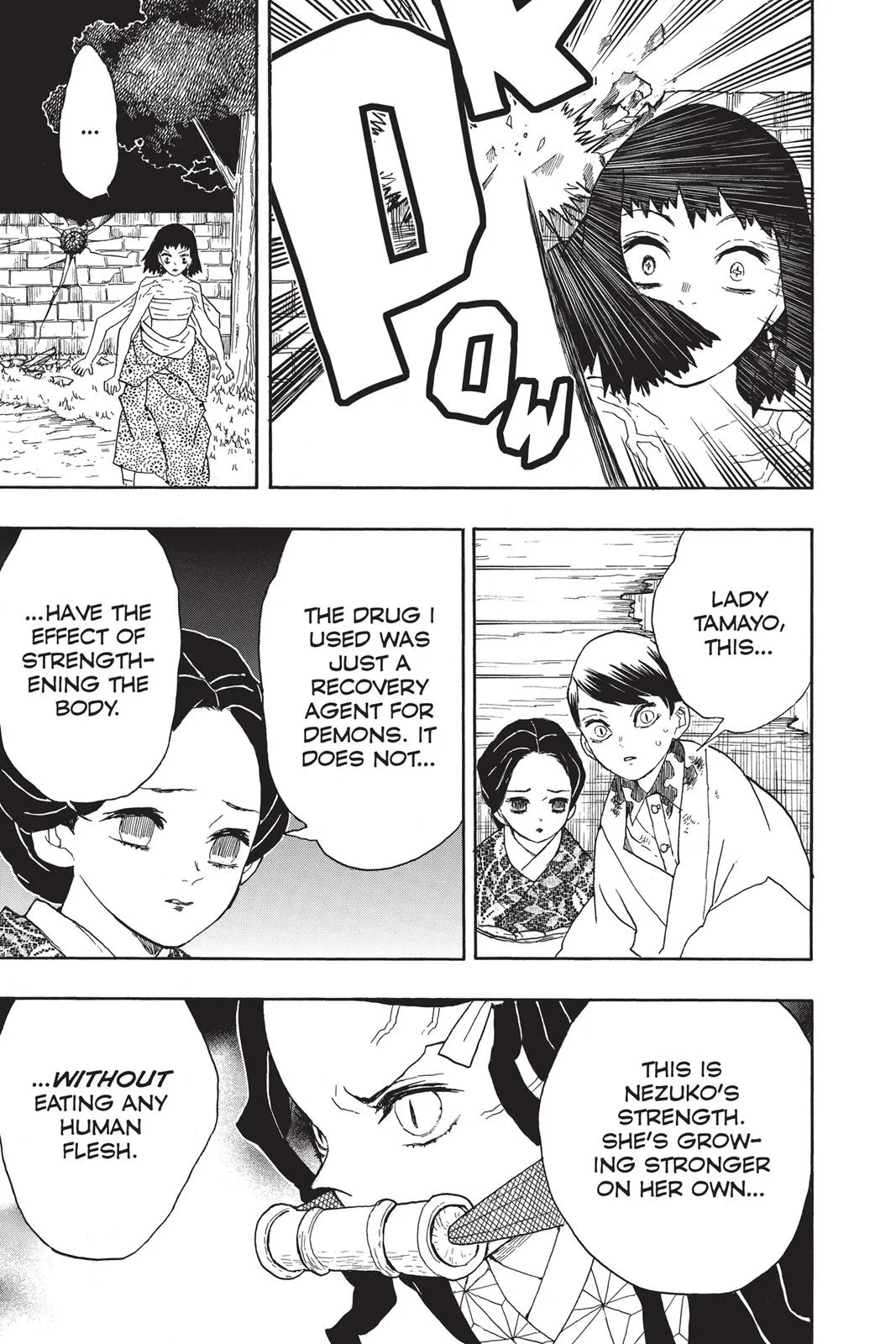Read Demon Slayer EN Manga Online