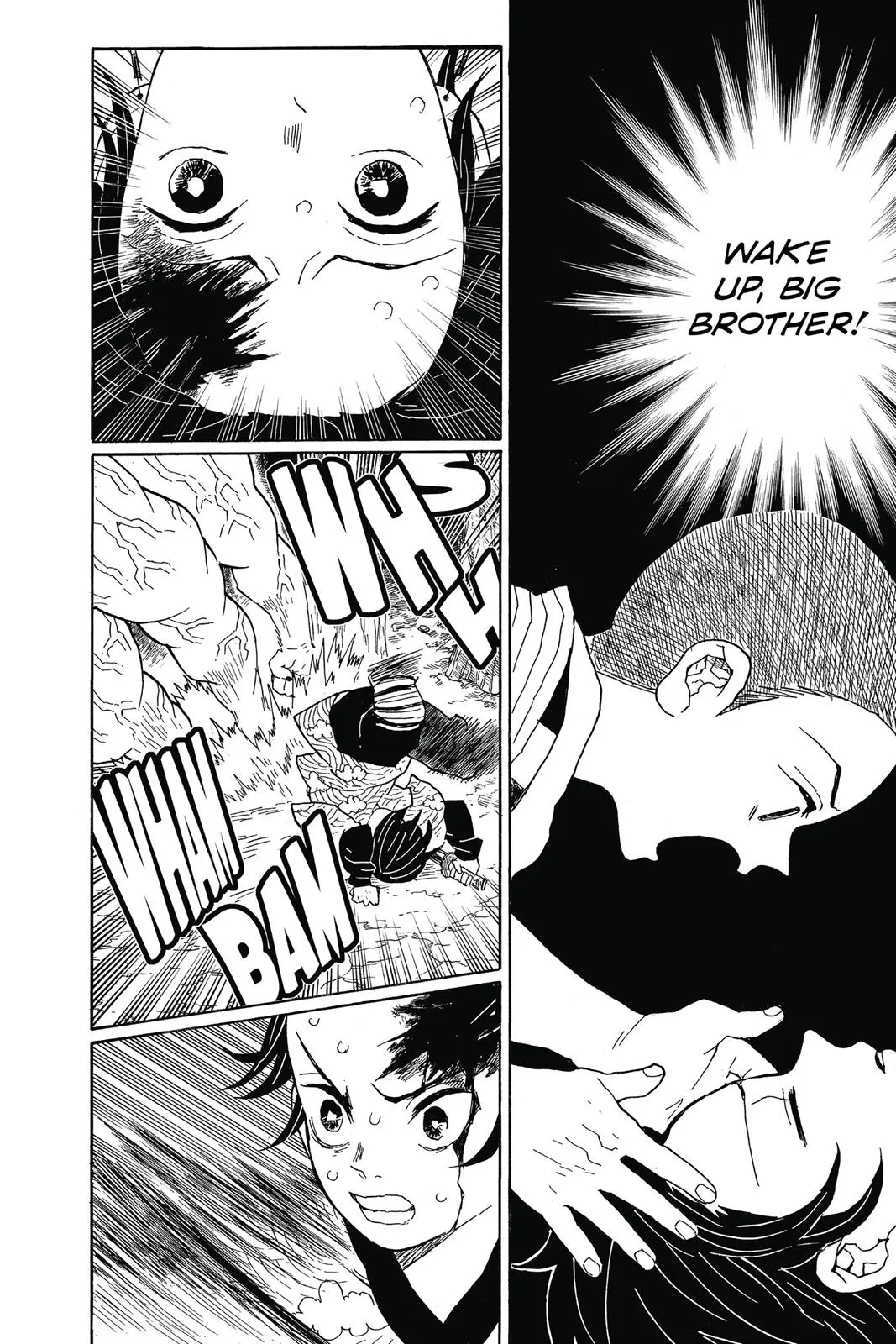 Read Demon Slayer EN Manga Online