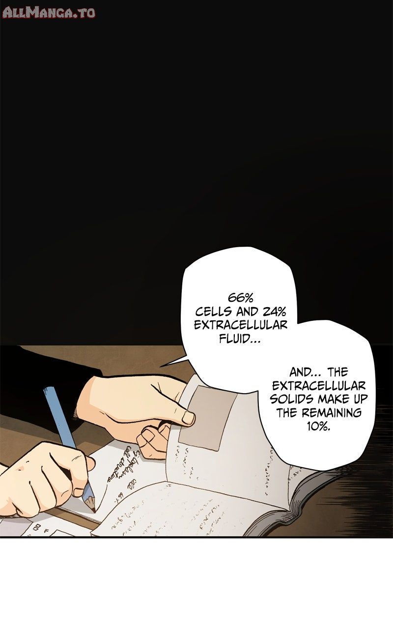 Read Fullmetal Alchemist  EN Manga Online