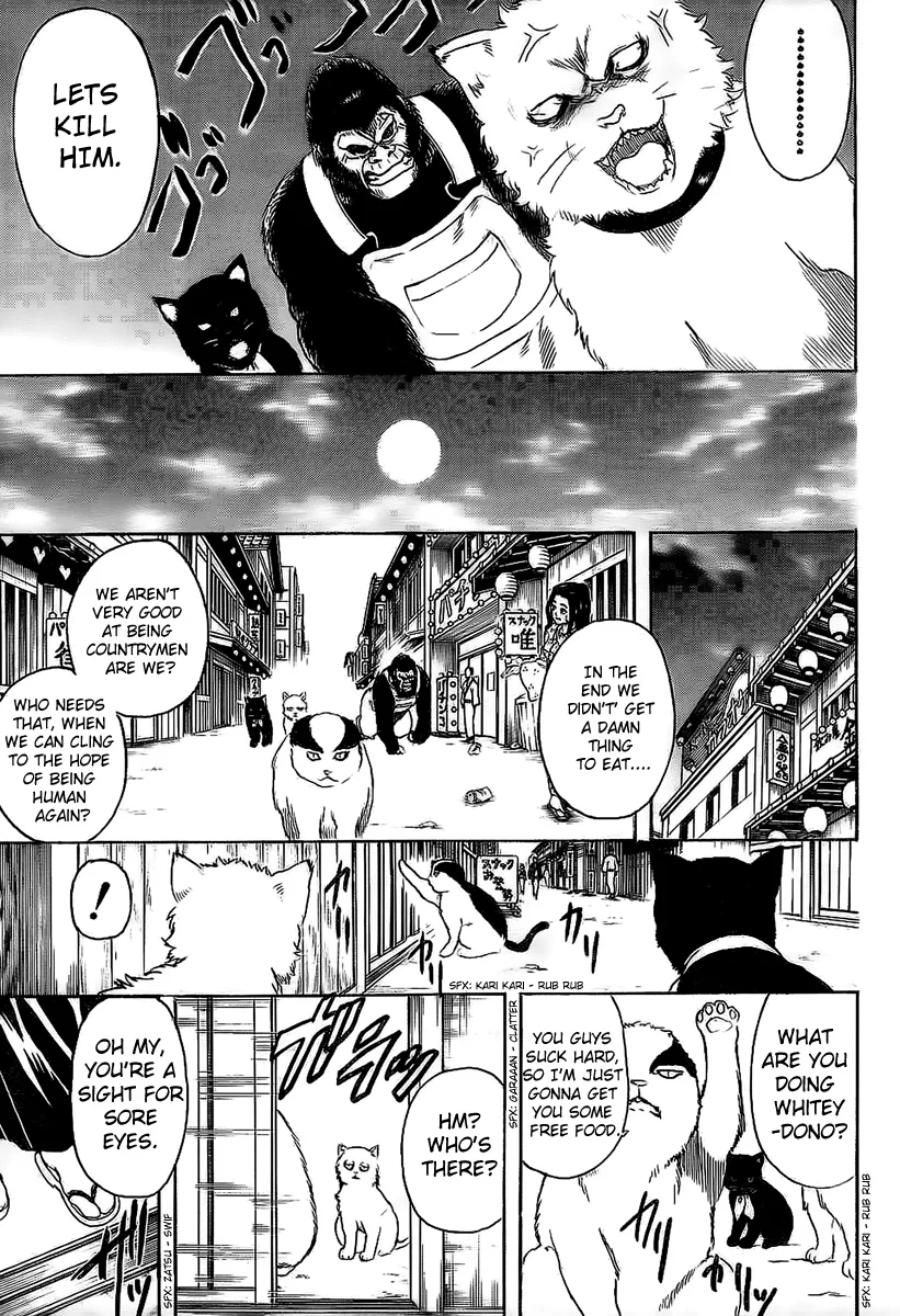 Read Gintama EN Manga Online