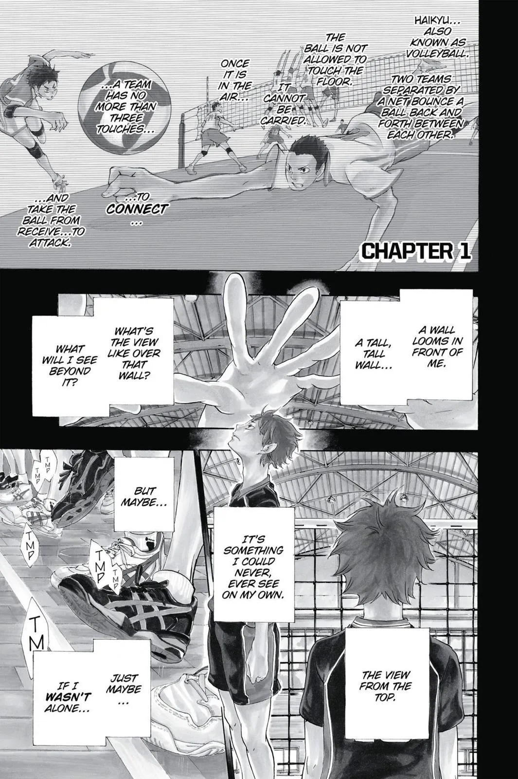 Read Haikyu!! EN Manga Online