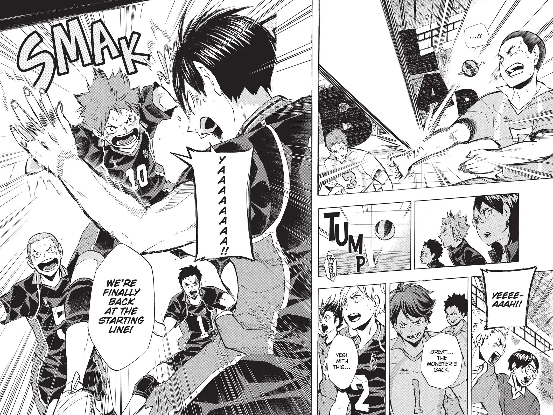 Read Haikyu!! EN Manga Online