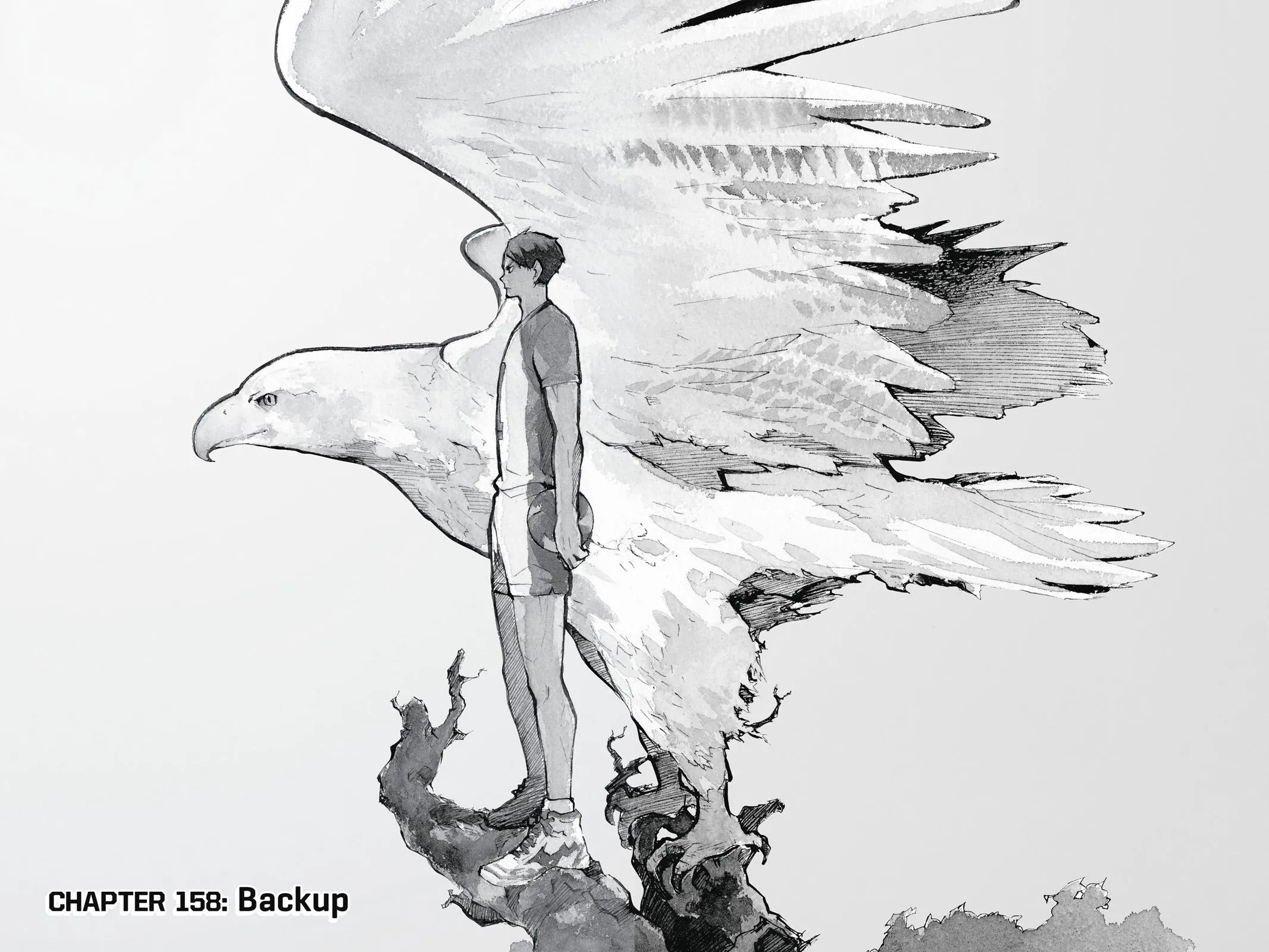 Read Haikyu!! EN Manga Online