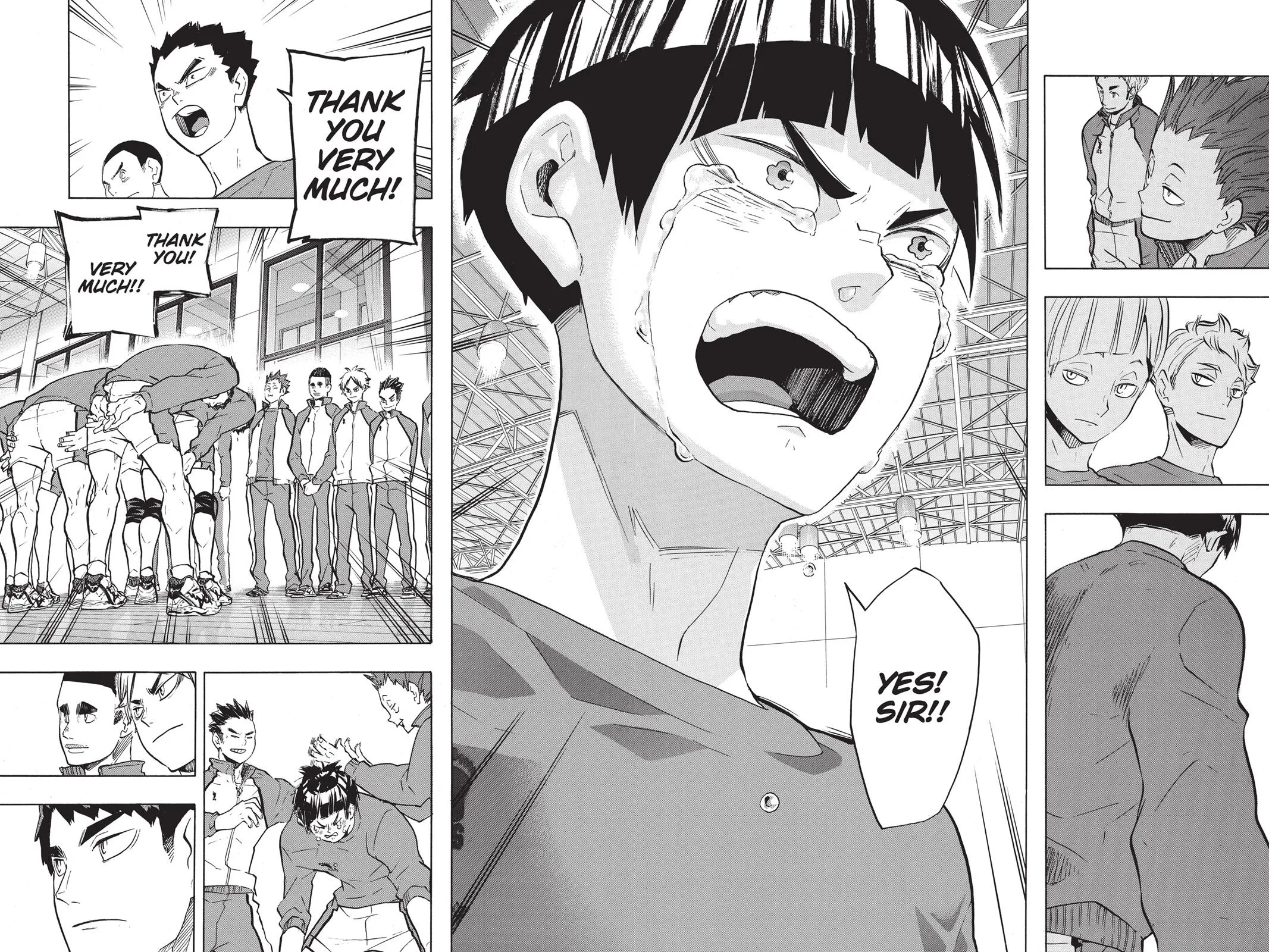 Read Haikyu!! EN Manga Online