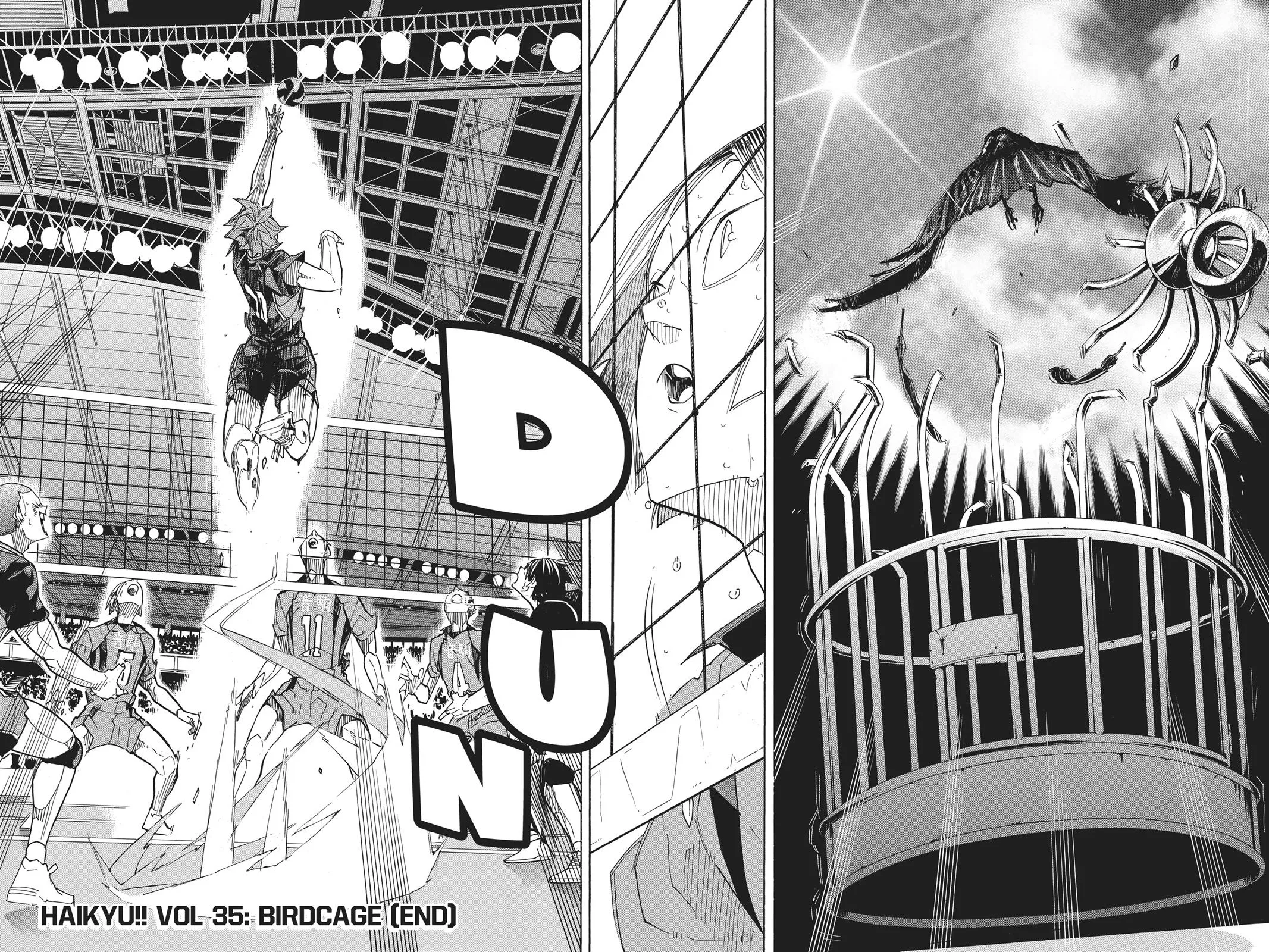 Read Haikyu!! EN Manga Online