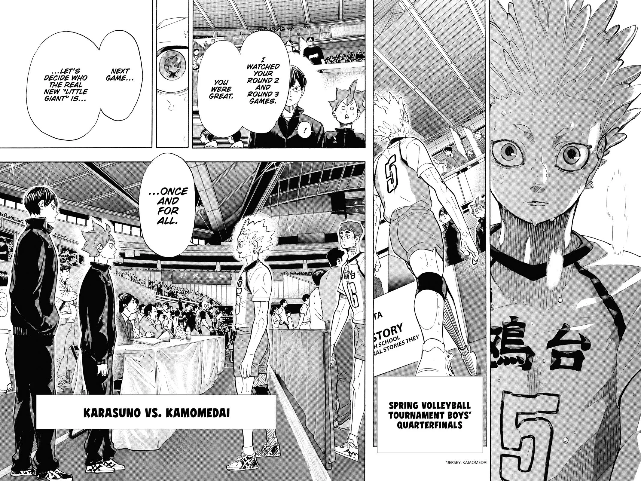 Read Haikyu!! EN Manga Online