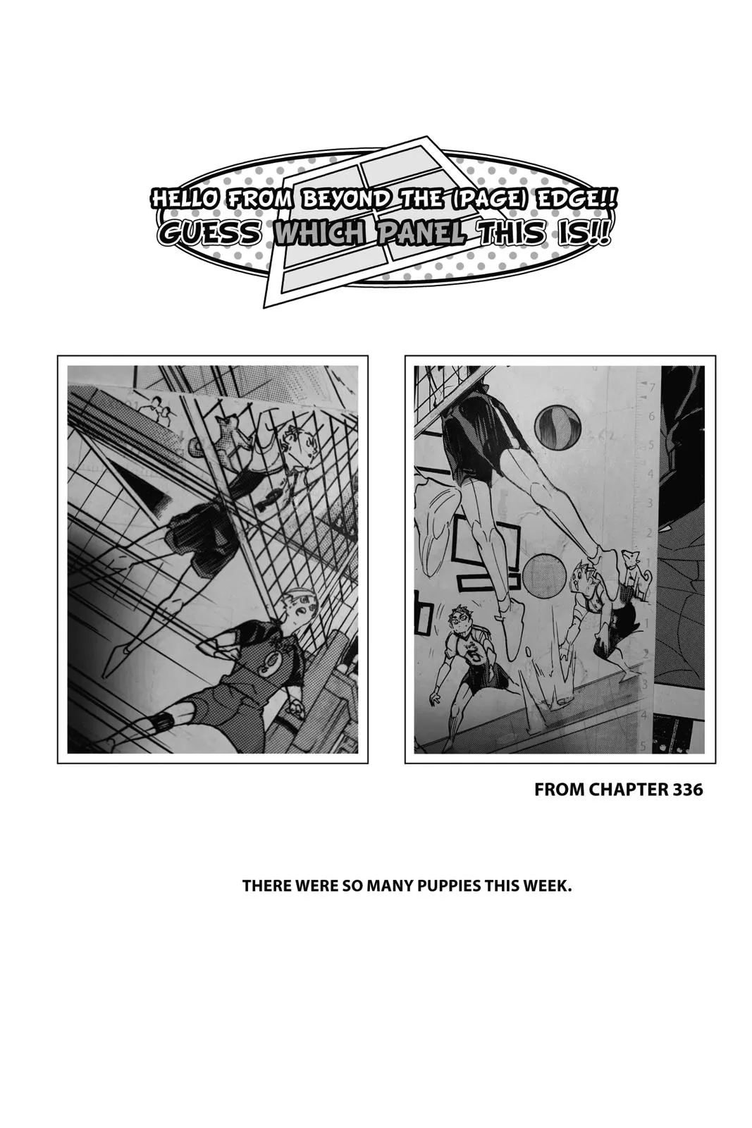 Read Haikyu!! EN Manga Online