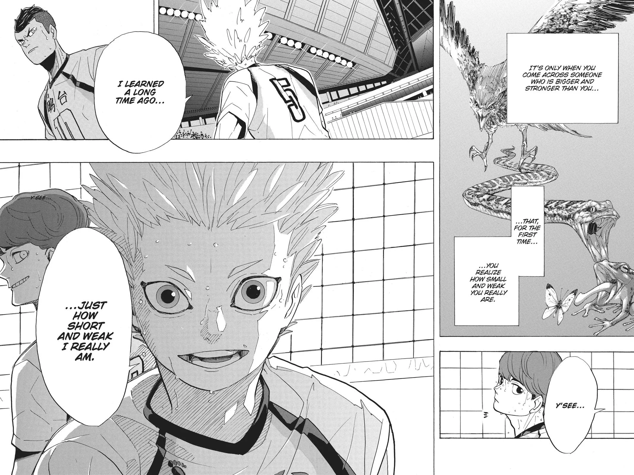 Read Haikyu!! EN Manga Online