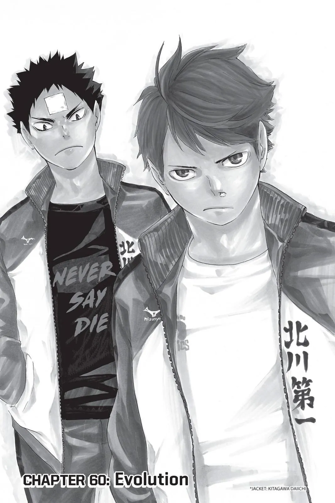Read Haikyu!! EN Manga Online