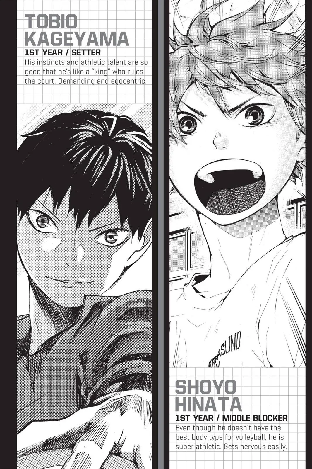 Read Haikyu!! EN Manga Online