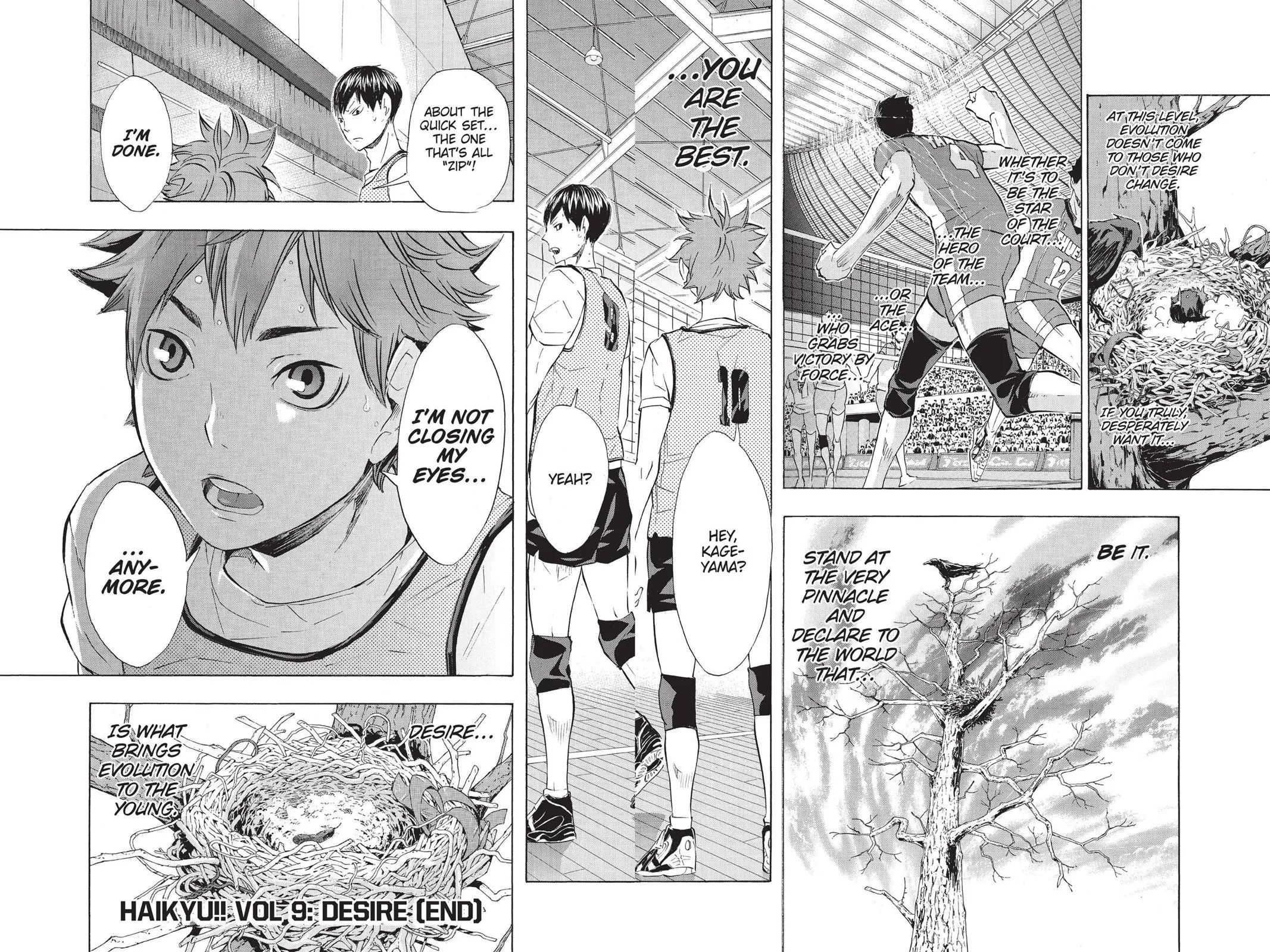 Read Haikyu!! EN Manga Online