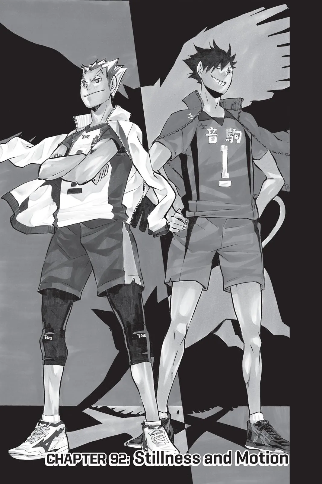 Read Haikyu!! EN Manga Online