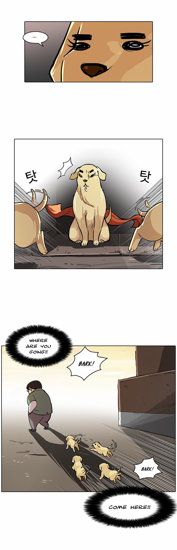 Read Lookism EN Manga Online