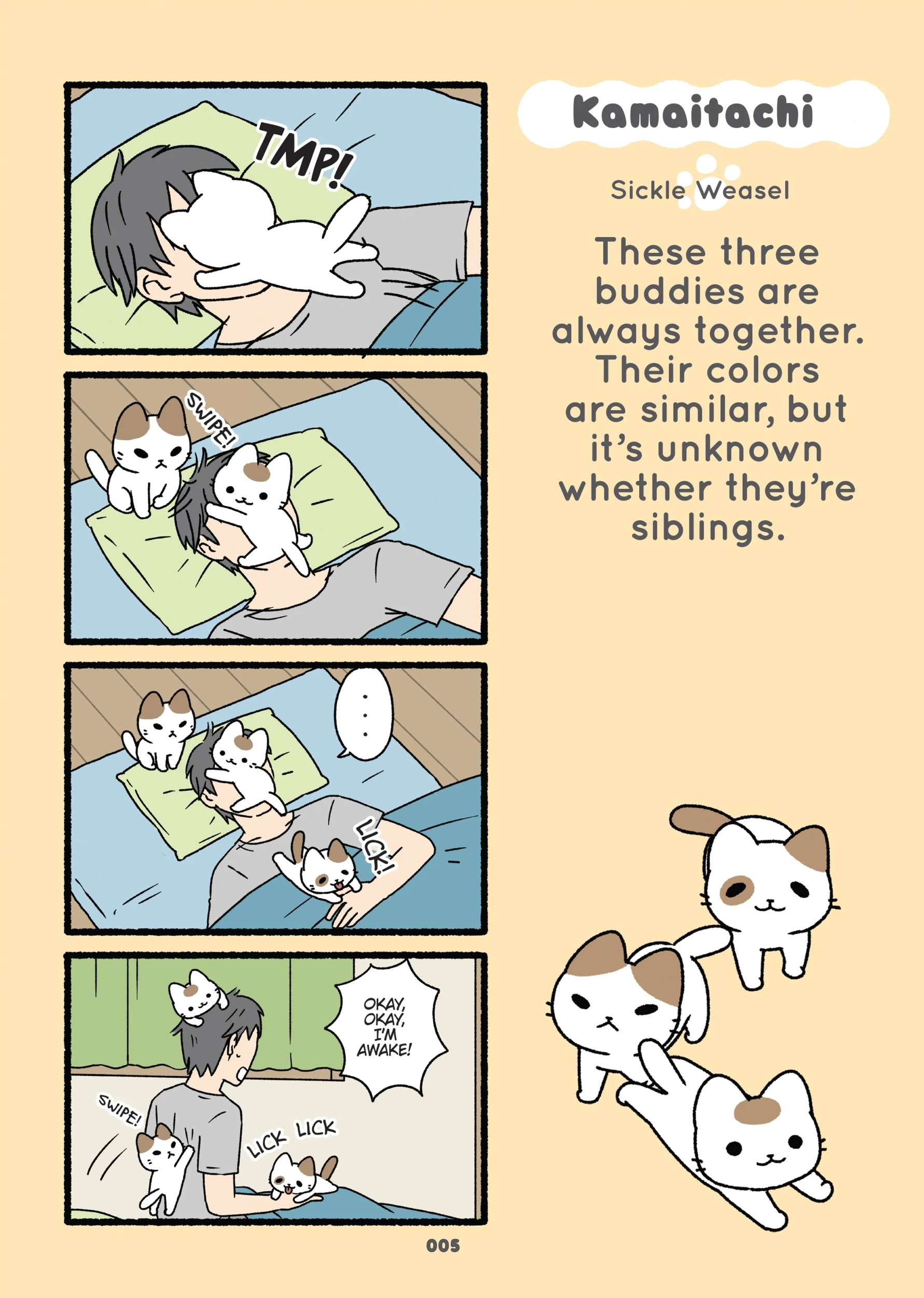 Read Neko Youkai EN Manga Online