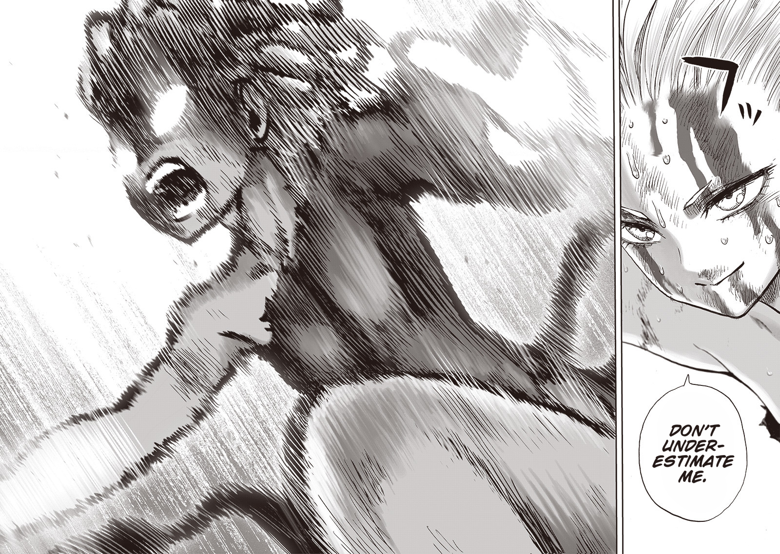 Read One-Punch Man EN Manga Online