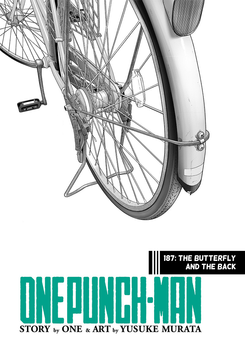 Read One-Punch Man EN Manga Online