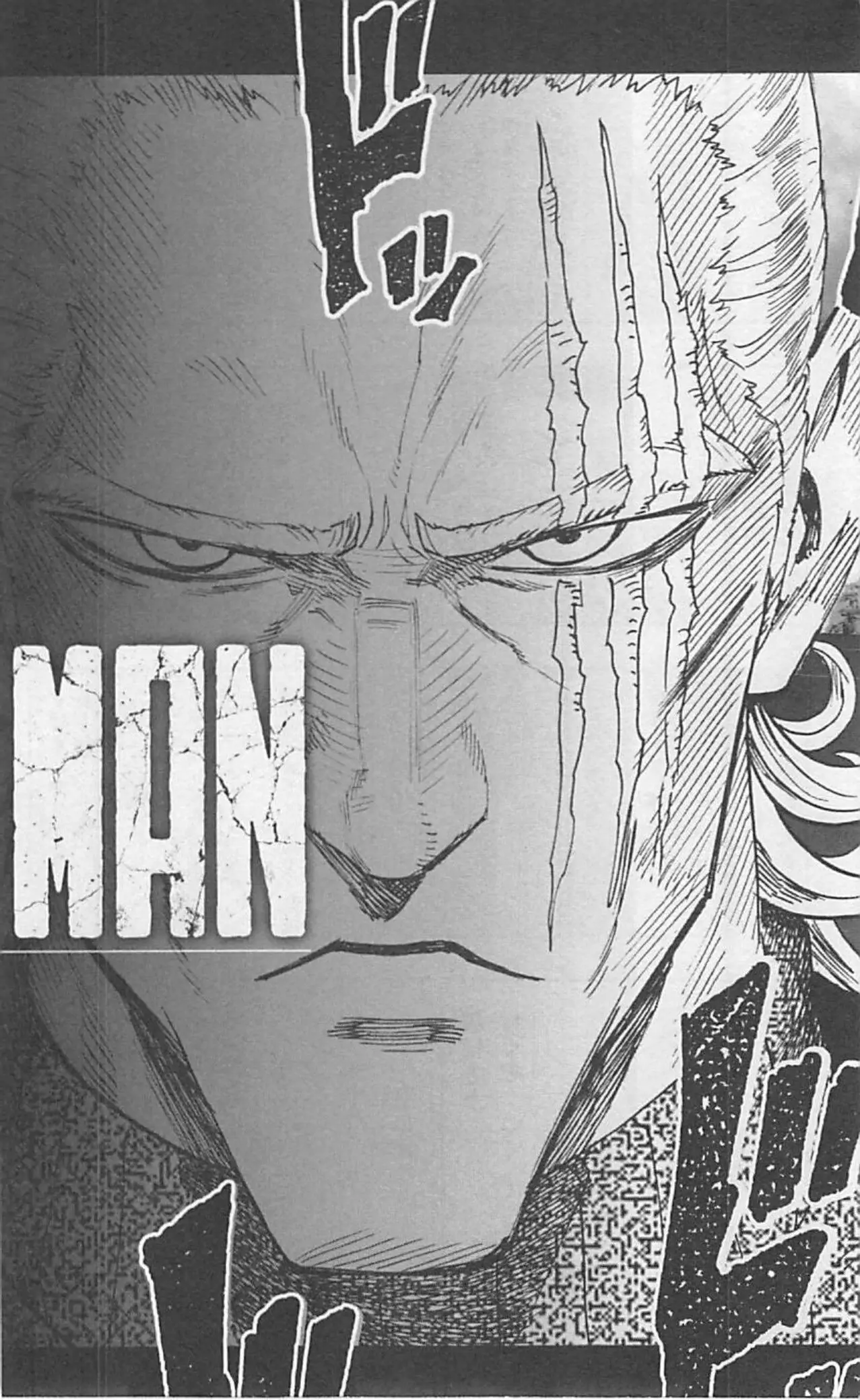Read One-Punch Man EN Manga Online
