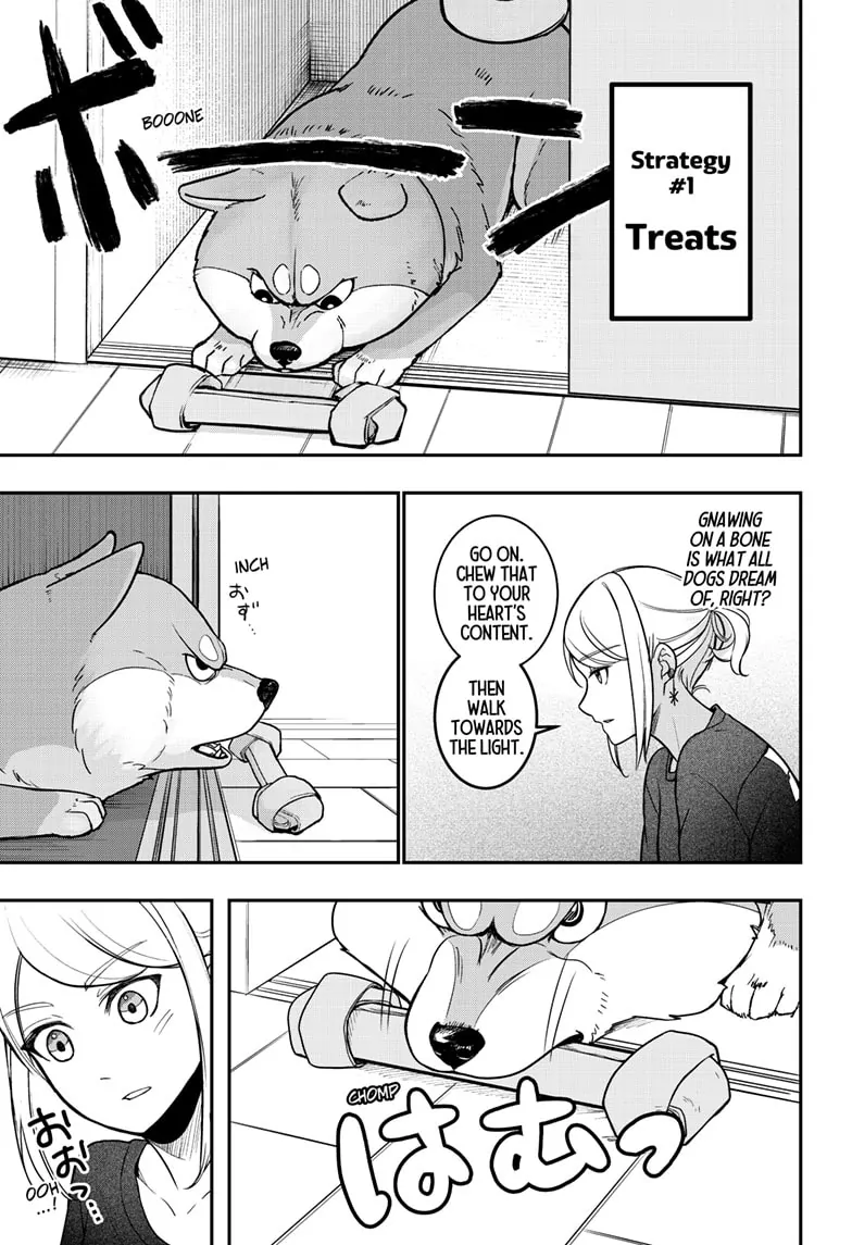 Read Shiba Inu Rooms EN Manga Online