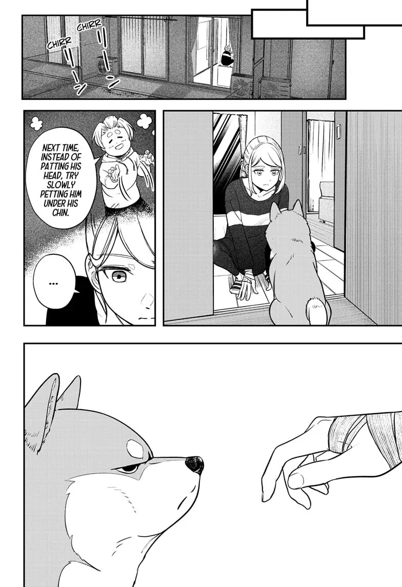 Read Shiba Inu Rooms EN Manga Online