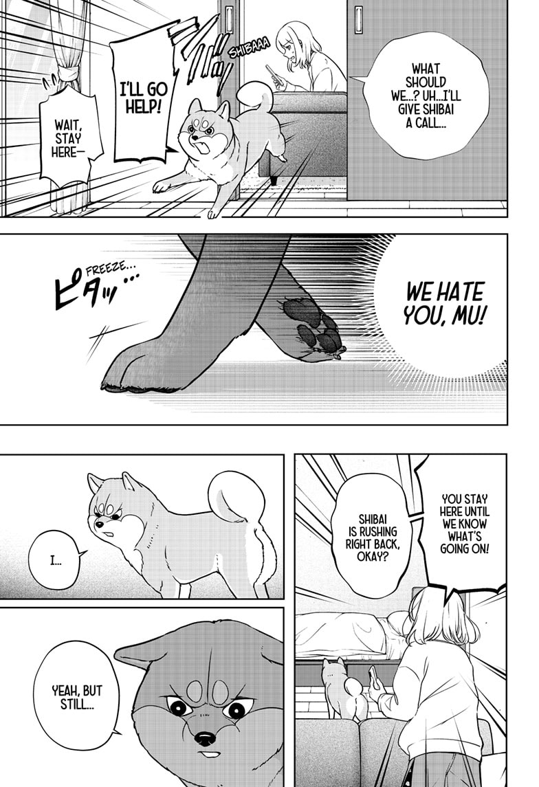 Read Shiba Inu Rooms EN Manga Online