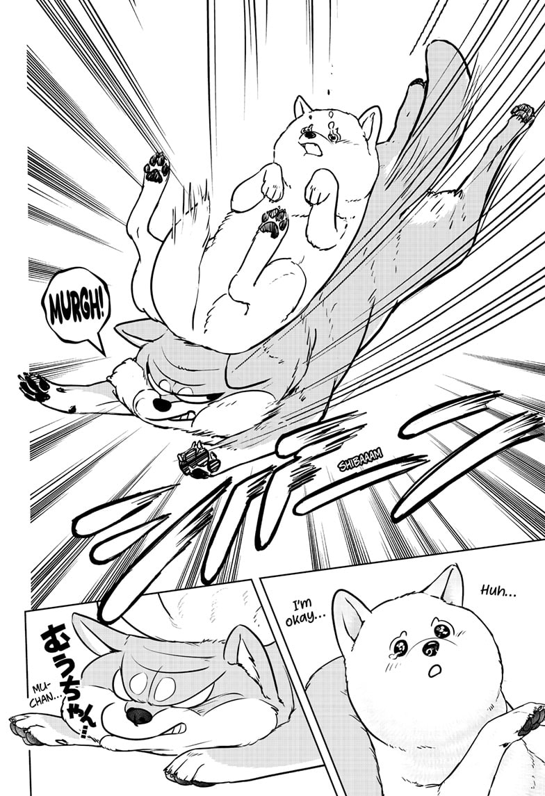 Read Shiba Inu Rooms EN Manga Online