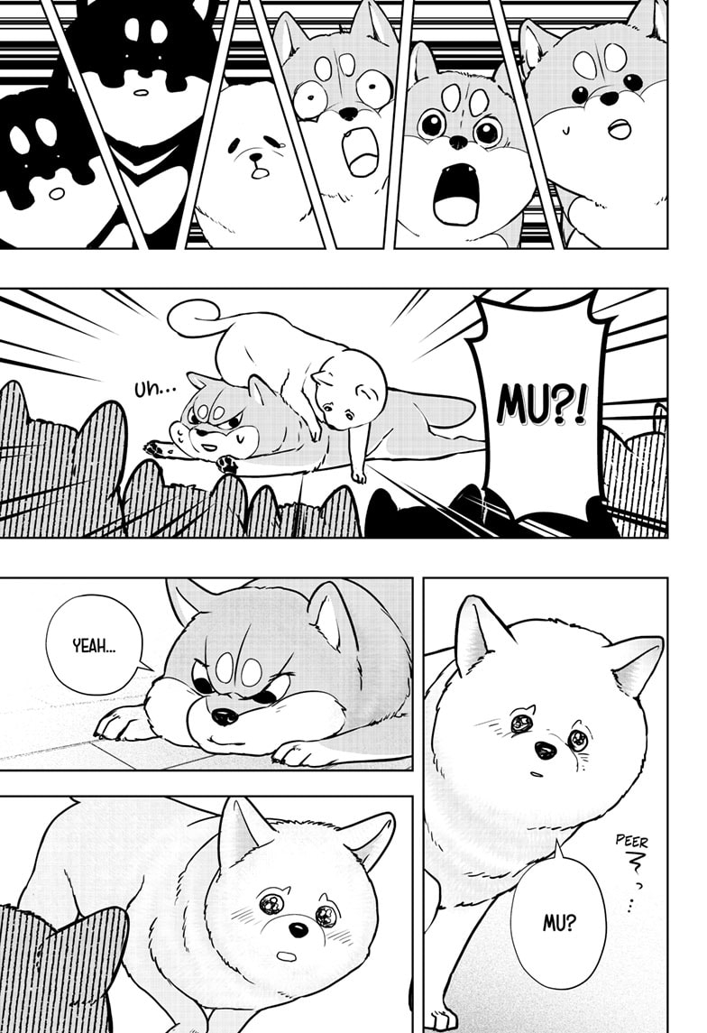 Read Shiba Inu Rooms EN Manga Online