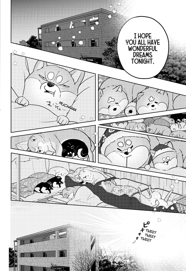 Read Shiba Inu Rooms EN Manga Online