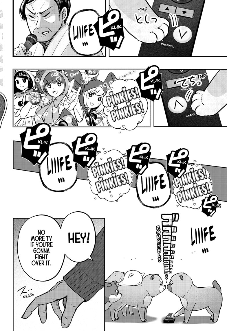 Read Shiba Inu Rooms EN Manga Online