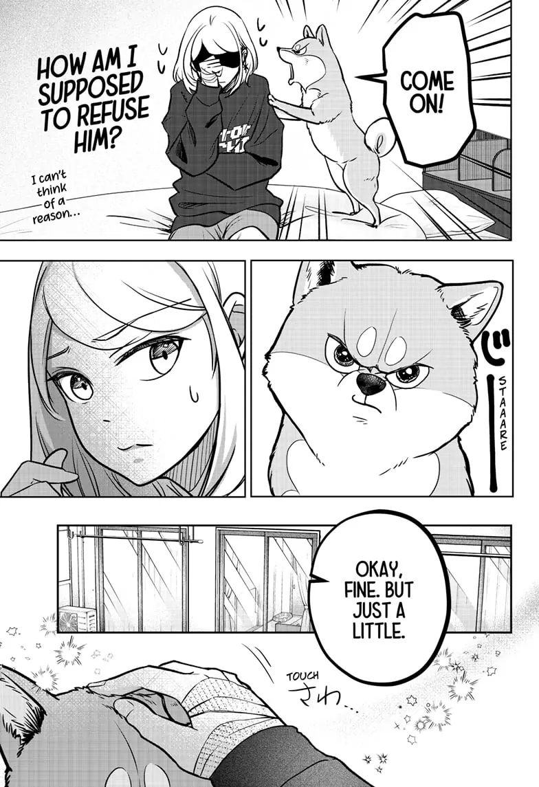 Read Shiba Inu Rooms EN Manga Online