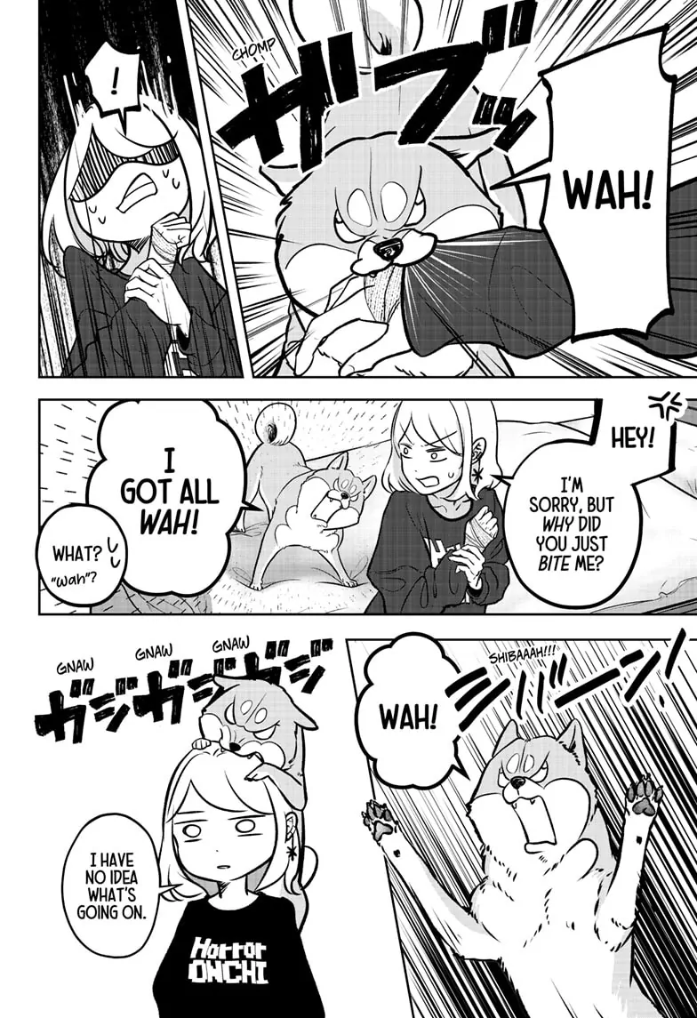 Read Shiba Inu Rooms EN Manga Online