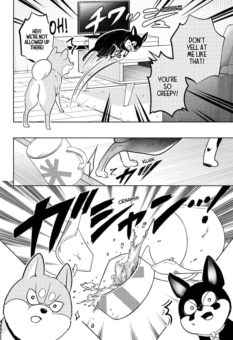 Read Shiba Inu Rooms EN Manga Online