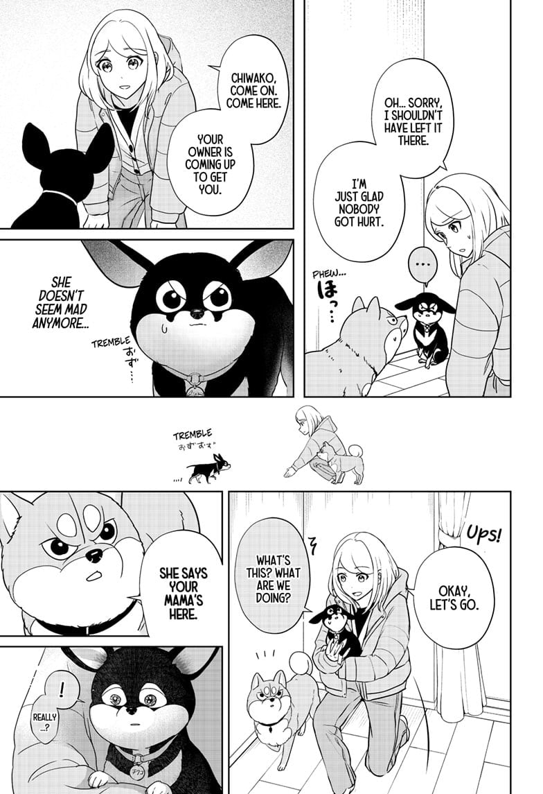 Read Shiba Inu Rooms EN Manga Online