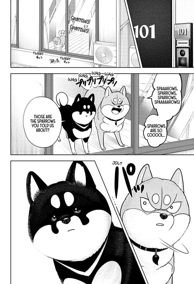 Read Shiba Inu Rooms EN Manga Online