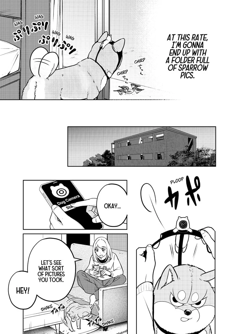Read Shiba Inu Rooms EN Manga Online