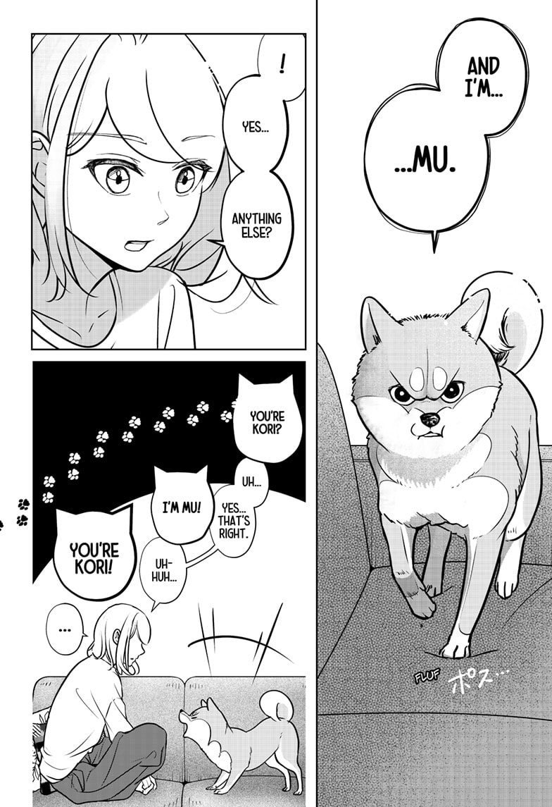 Read Shiba Inu Rooms EN Manga Online