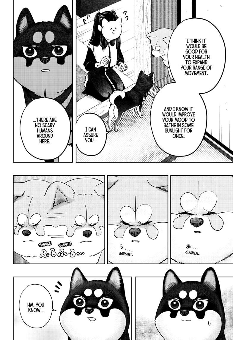 Read Shiba Inu Rooms EN Manga Online