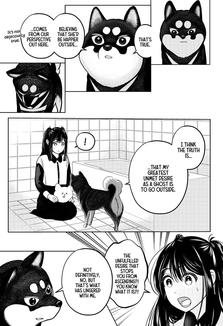 Read Shiba Inu Rooms EN Manga Online