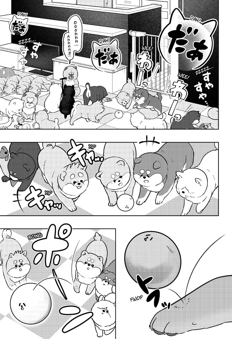 Read Shiba Inu Rooms EN Manga Online