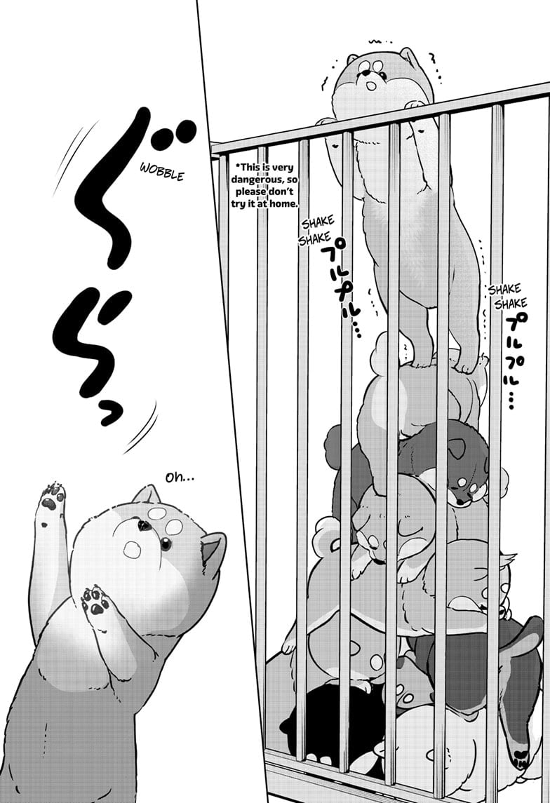 Read Shiba Inu Rooms EN Manga Online