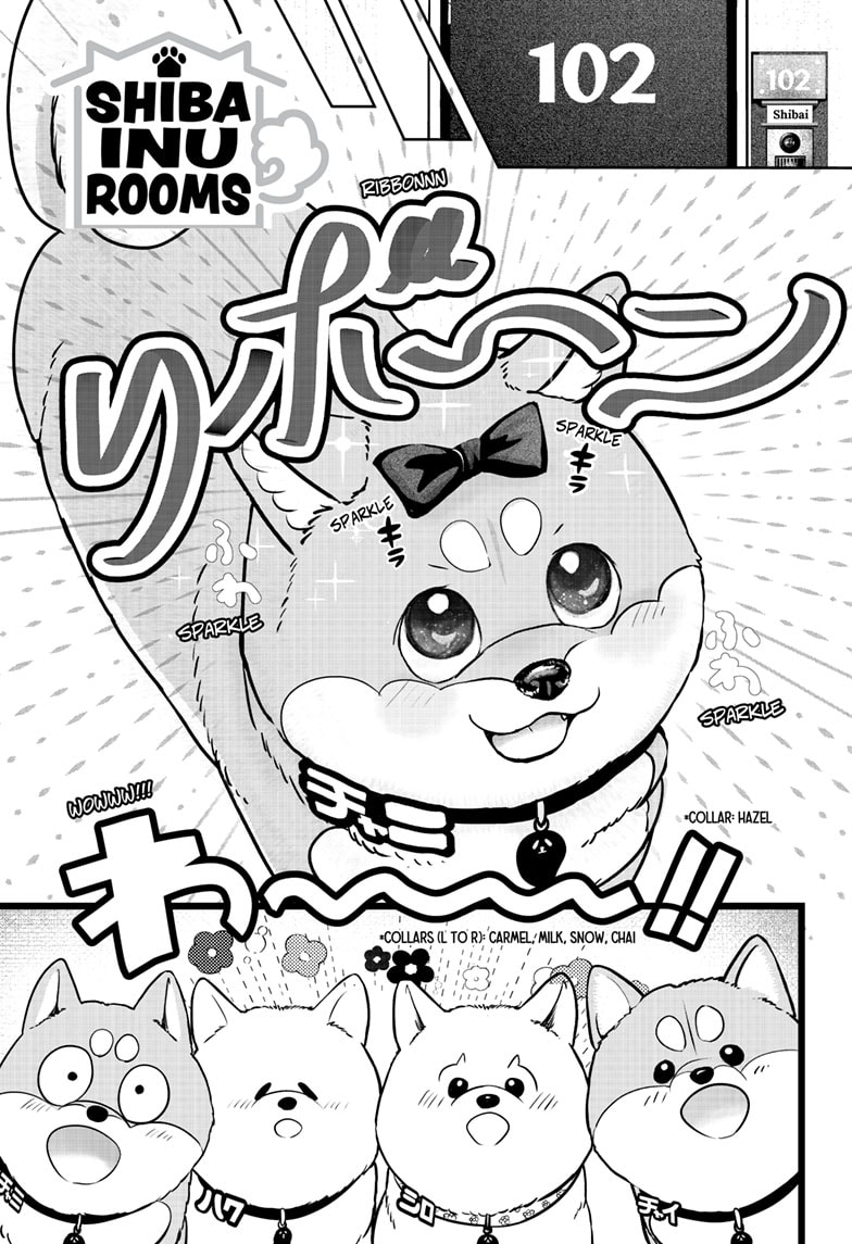 Read Shiba Inu Rooms EN Manga Online