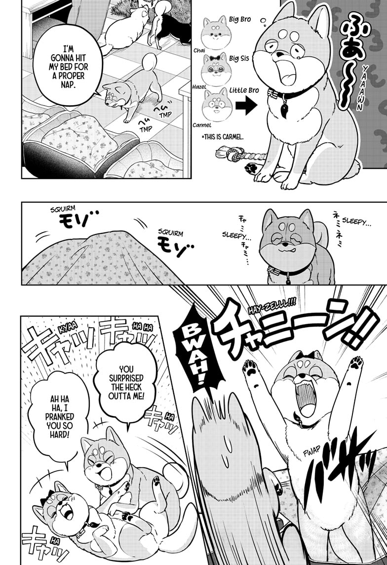 Read Shiba Inu Rooms EN Manga Online