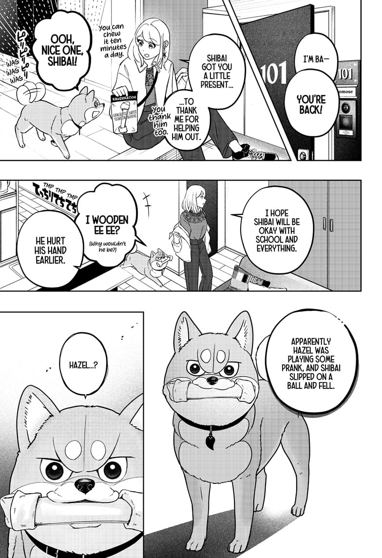 Read Shiba Inu Rooms EN Manga Online