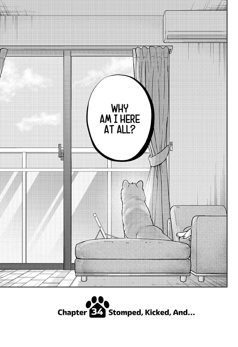 Read Shiba Inu Rooms EN Manga Online