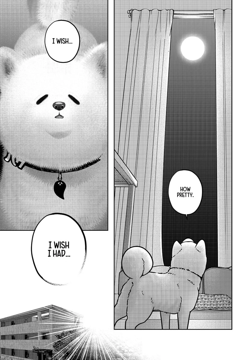 Read Shiba Inu Rooms EN Manga Online
