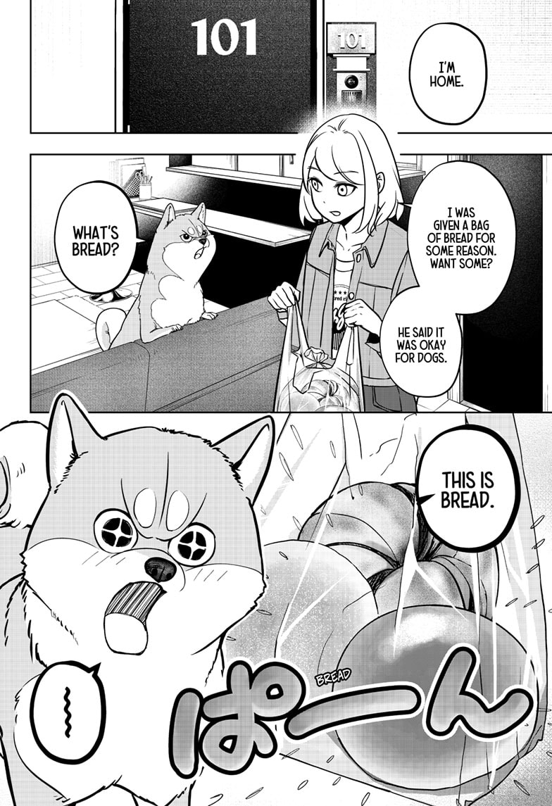 Read Shiba Inu Rooms EN Manga Online