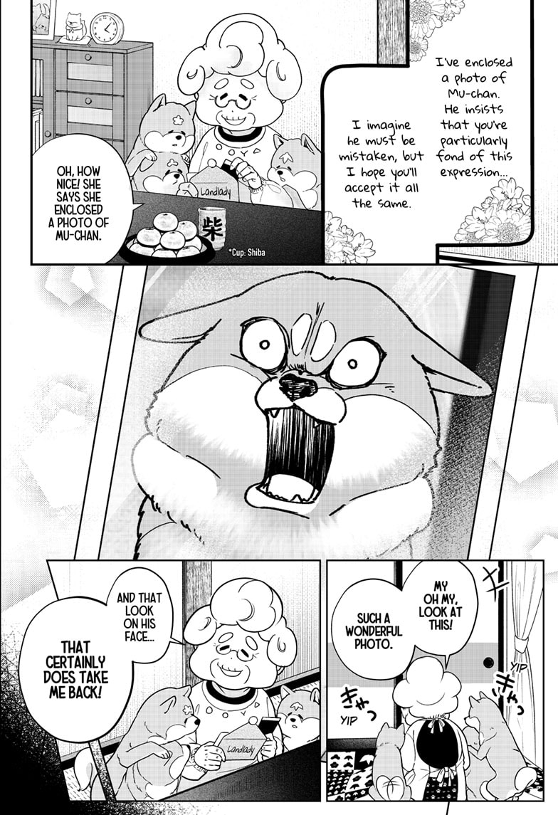 Read Shiba Inu Rooms EN Manga Online