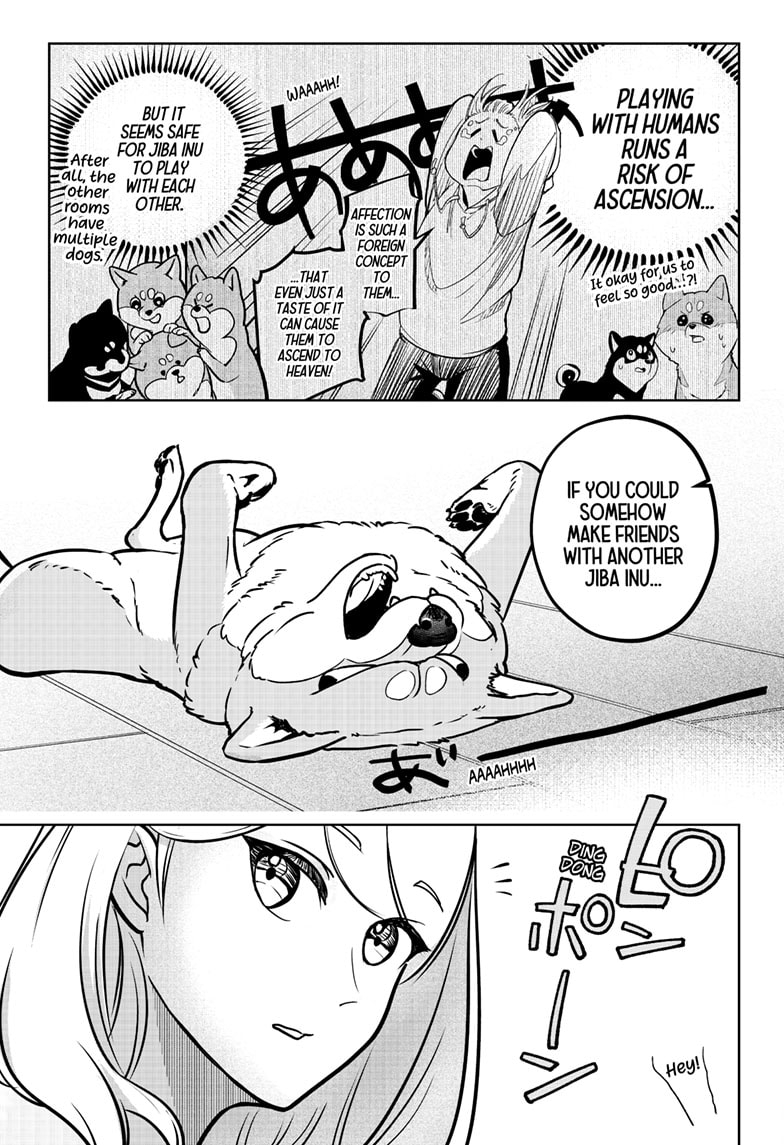 Read Shiba Inu Rooms EN Manga Online