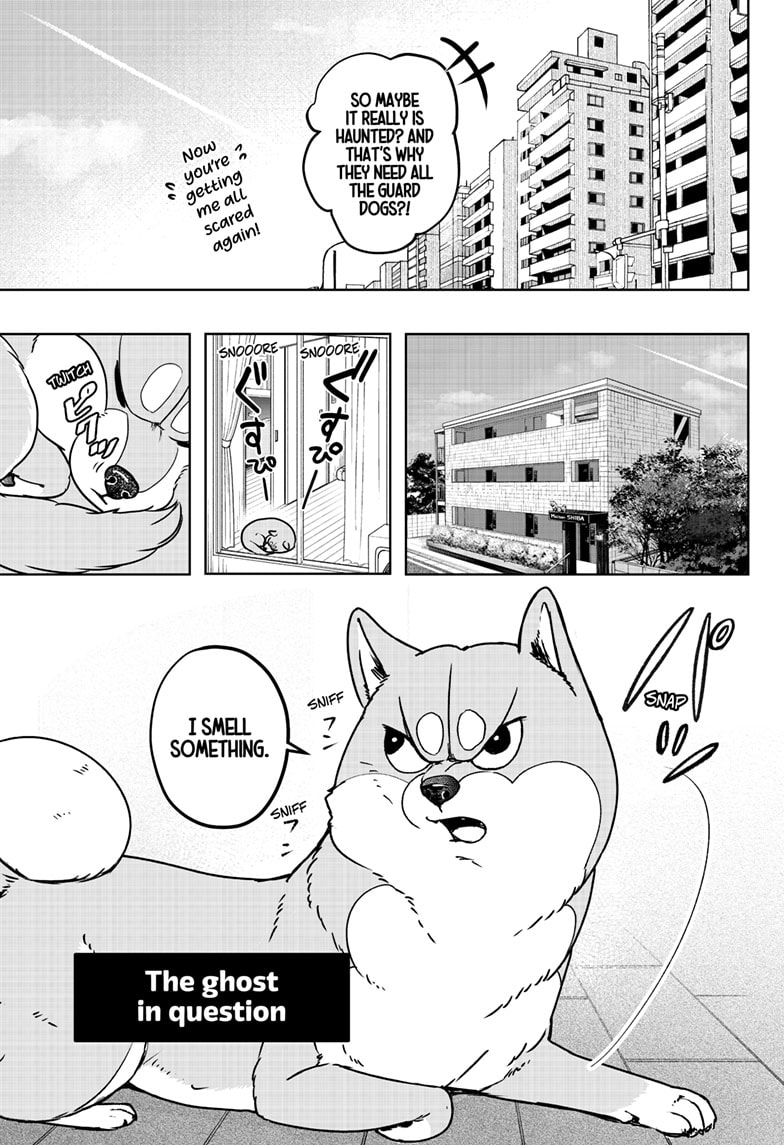 Read Shiba Inu Rooms EN Manga Online